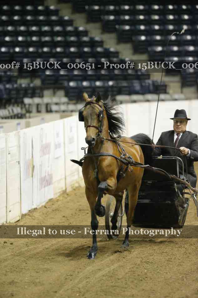 Proof 15BUCK_00651
