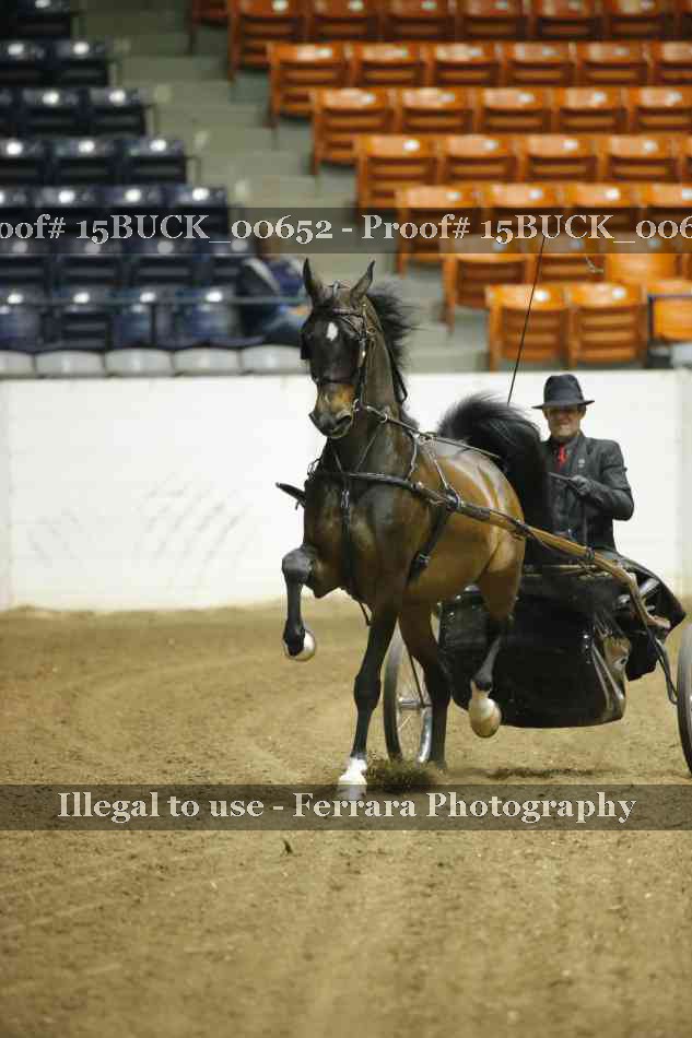 Proof 15BUCK_00652