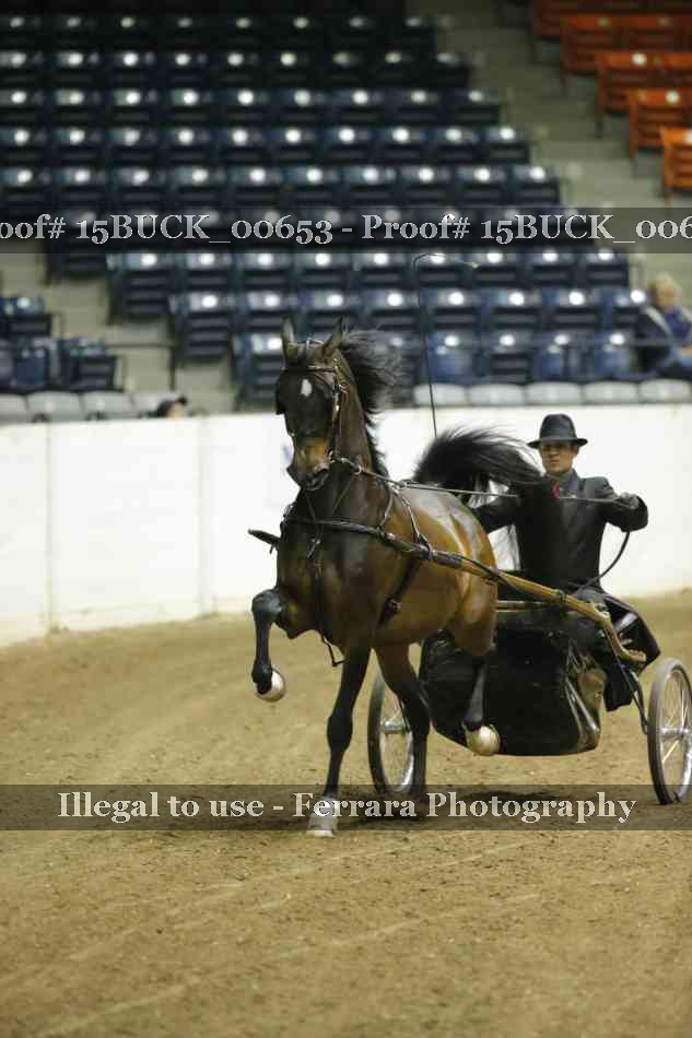 Proof 15BUCK_00653