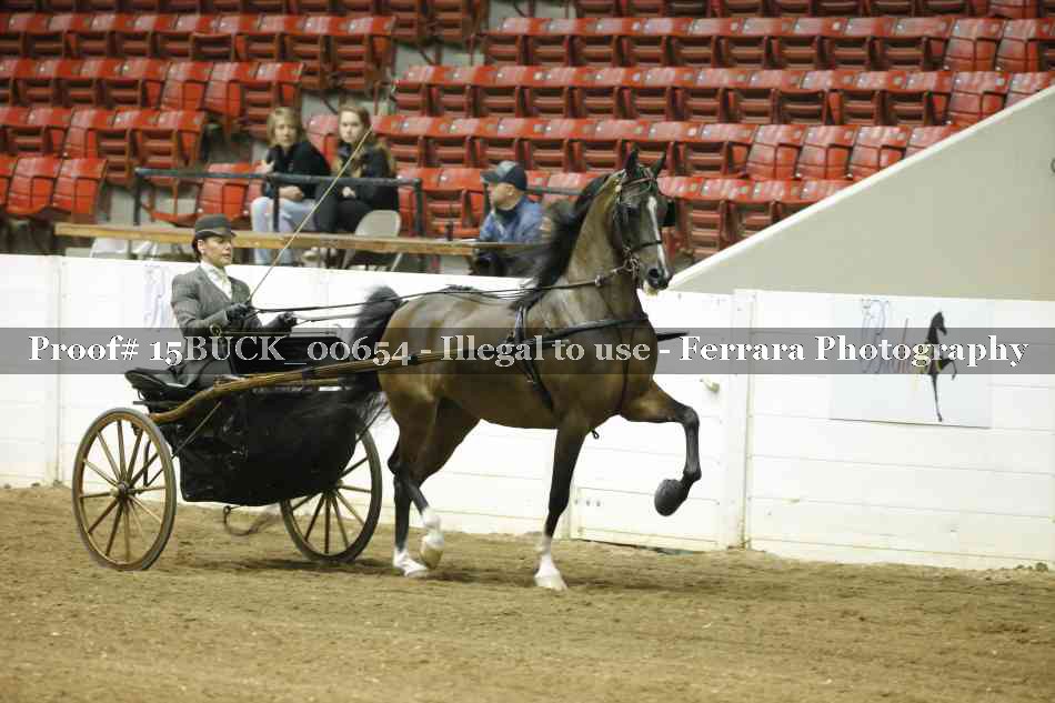 Proof 15BUCK_00654