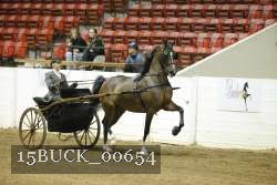 15BUCK_00654 proof