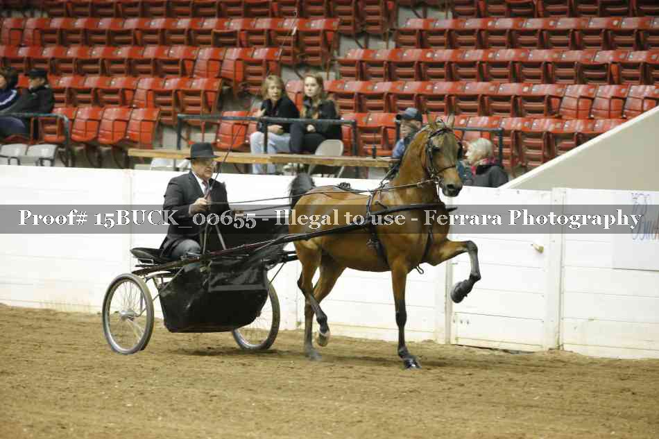 Proof 15BUCK_00655
