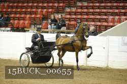 15BUCK_00655 proof