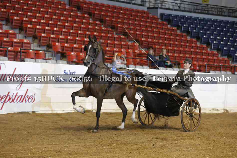 Proof 15BUCK_00656