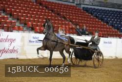 15BUCK_00656 proof