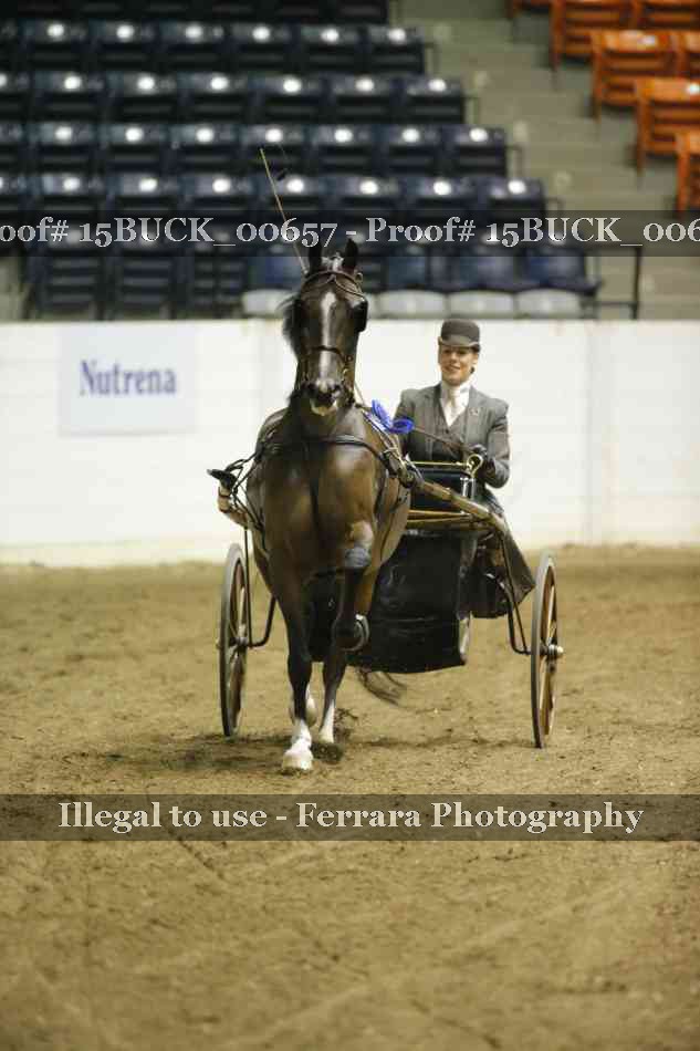 Proof 15BUCK_00657