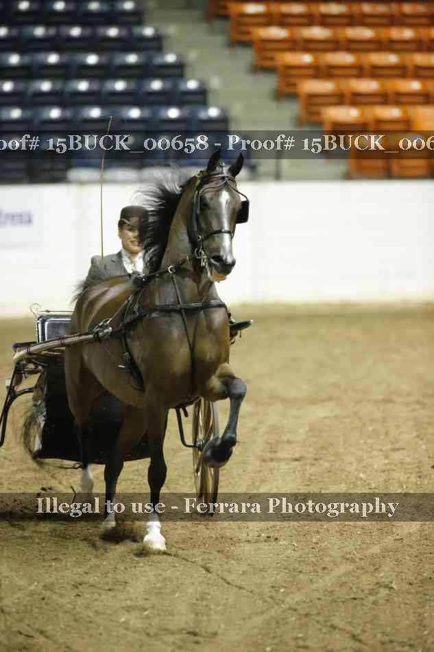 Proof 15BUCK_00658