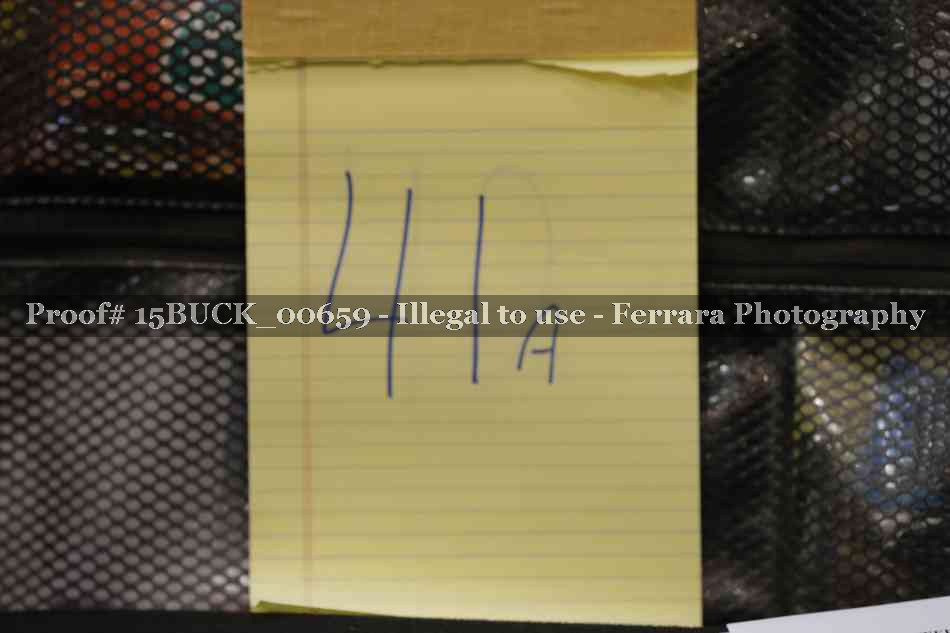 Proof 15BUCK_00659