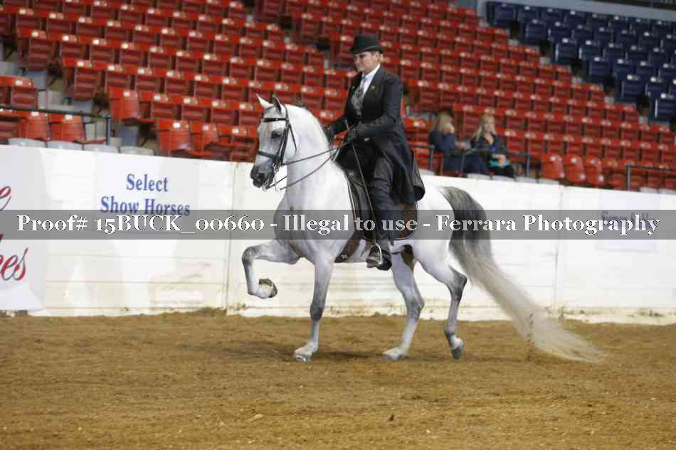 Proof 15BUCK_00660