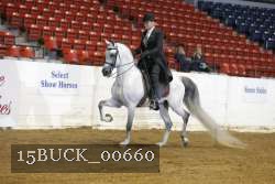 15BUCK_00660 proof