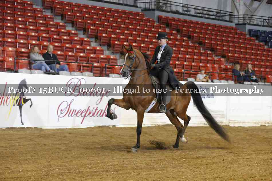 Proof 15BUCK_00661