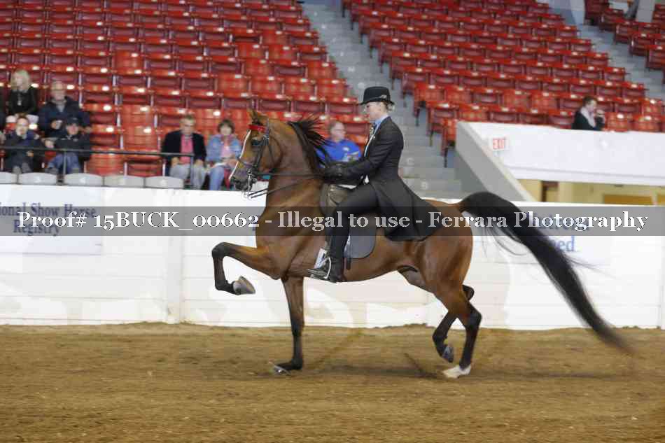 Proof 15BUCK_00662