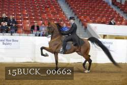 15BUCK_00662 proof