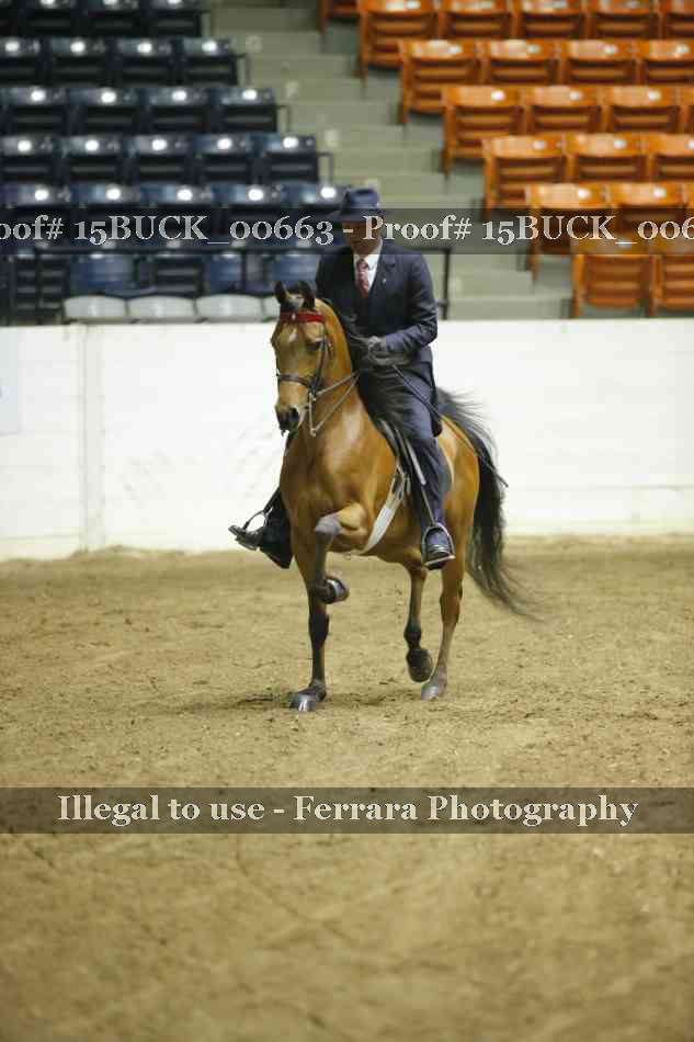 Proof 15BUCK_00663
