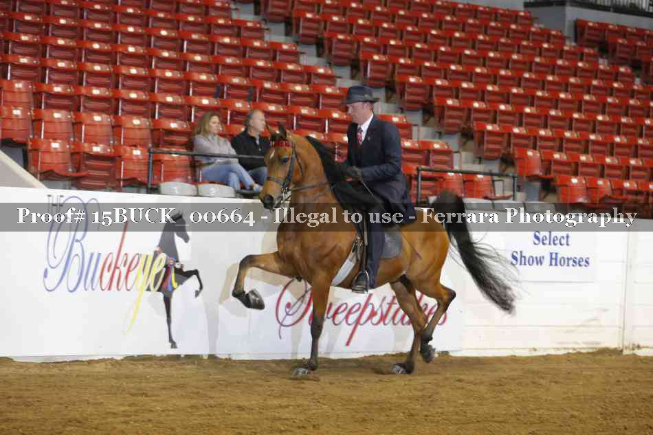 Proof 15BUCK_00664