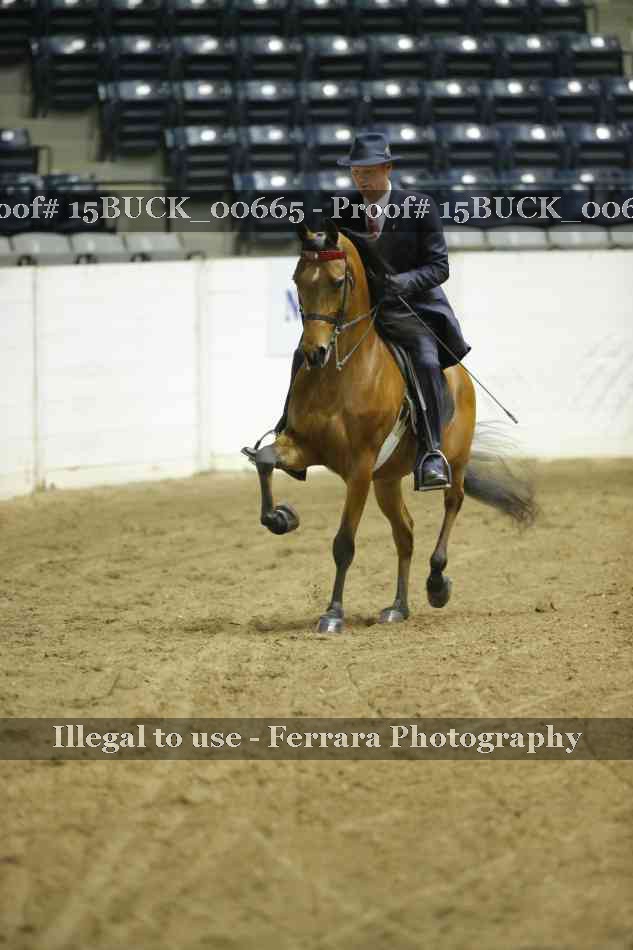 Proof 15BUCK_00665