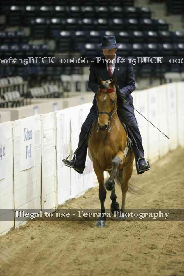 Proof 15BUCK_00666