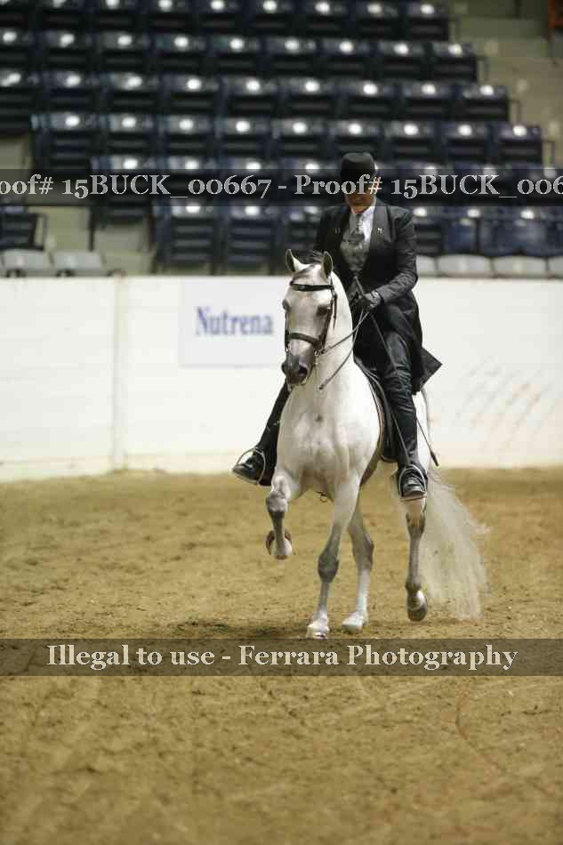 Proof 15BUCK_00667