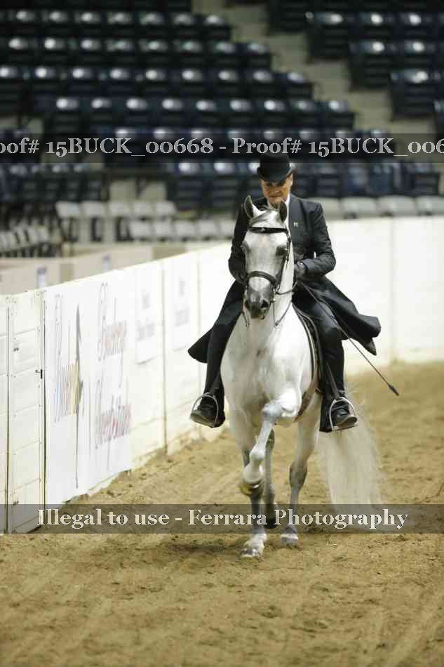 Proof 15BUCK_00668