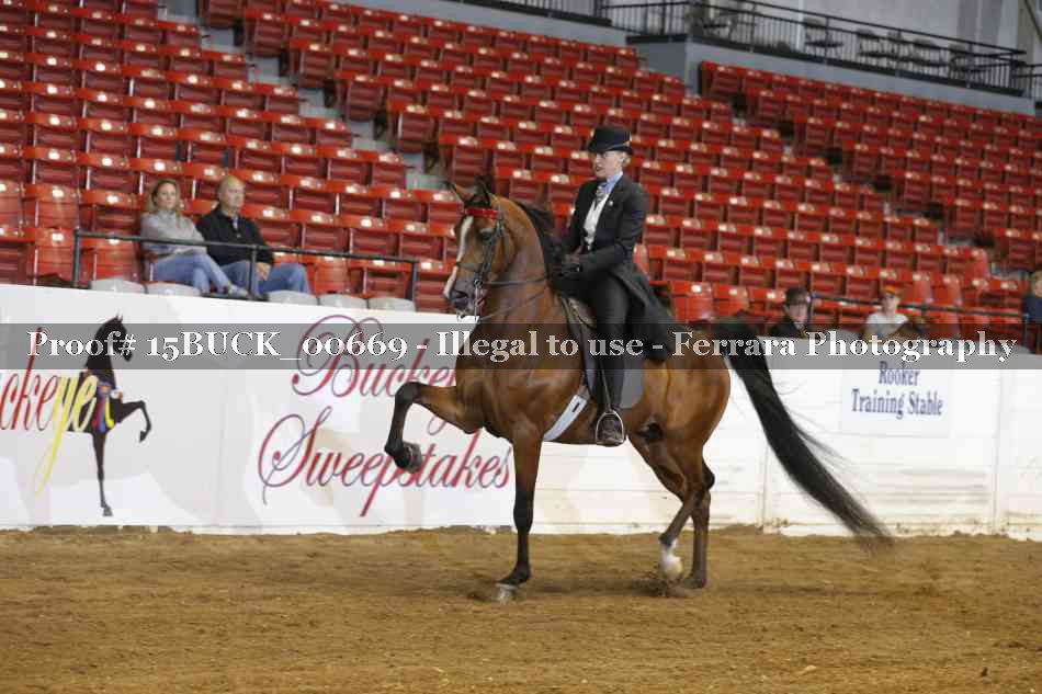 Proof 15BUCK_00669