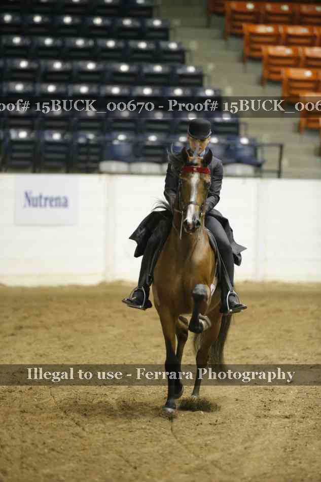 Proof 15BUCK_00670