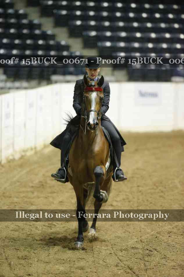 Proof 15BUCK_00671