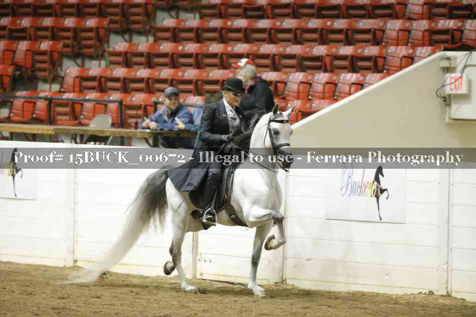 Proof 15BUCK_00672