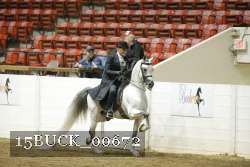 15BUCK_00672 proof