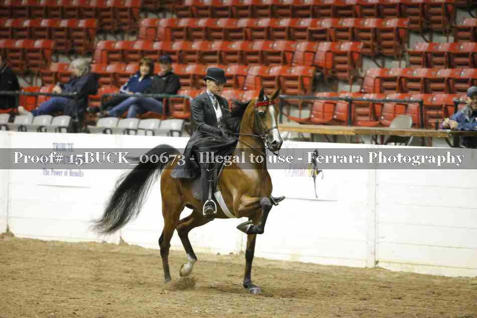 Proof 15BUCK_00673