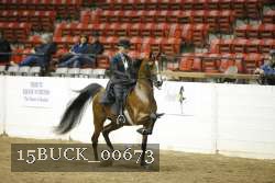 15BUCK_00673 proof