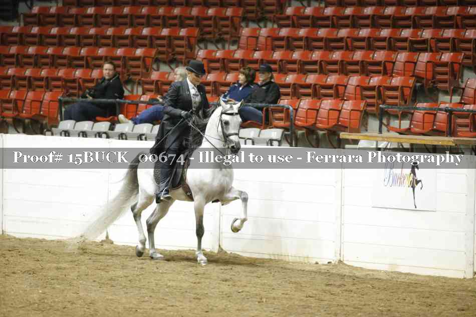 Proof 15BUCK_00674