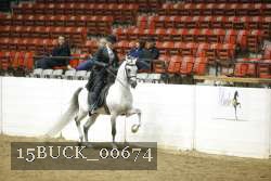 15BUCK_00674 proof
