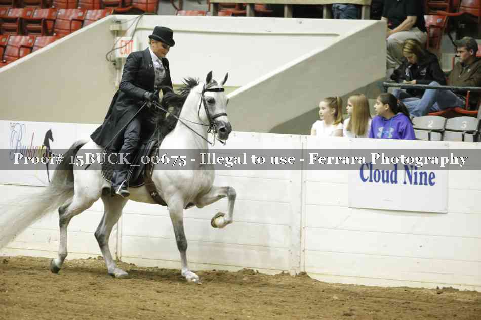 Proof 15BUCK_00675