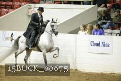 15BUCK_00675 proof