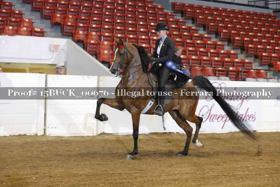 Proof 15BUCK_00676