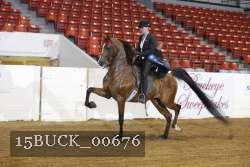 15BUCK_00676 proof