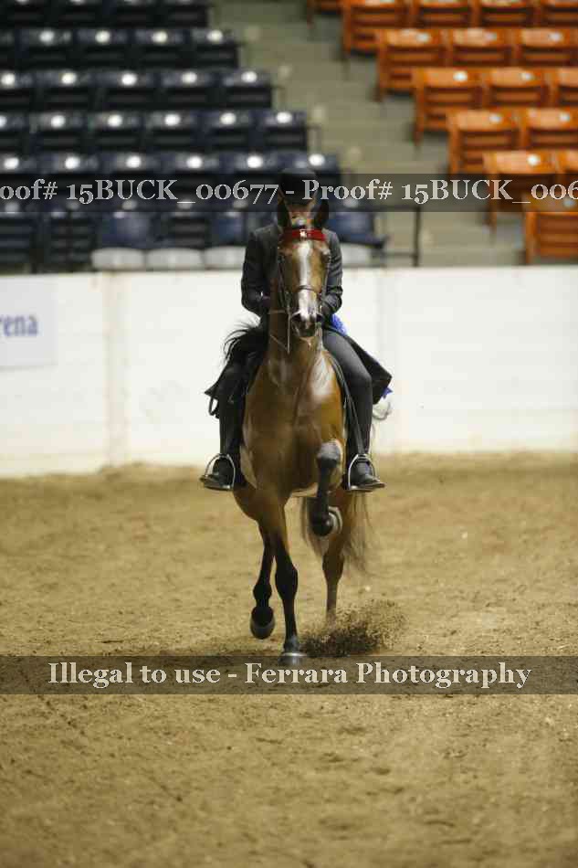 Proof 15BUCK_00677