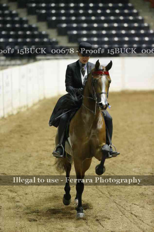 Proof 15BUCK_00678