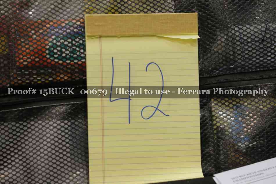 Proof 15BUCK_00679