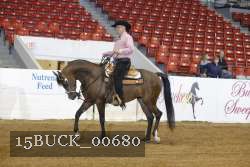 15BUCK_00680 proof