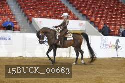 15BUCK_00683 proof