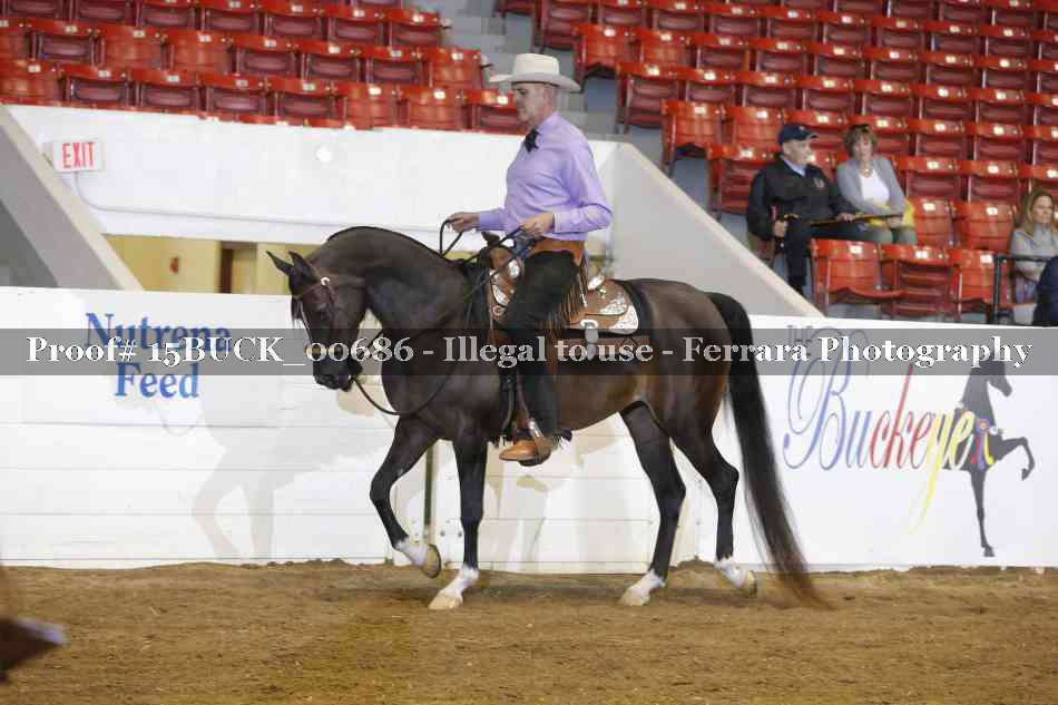 Proof 15BUCK_00686