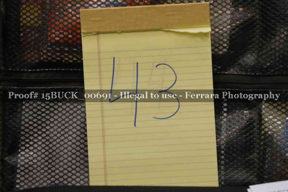 Proof 15BUCK_00691