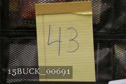 15BUCK_00691 proof