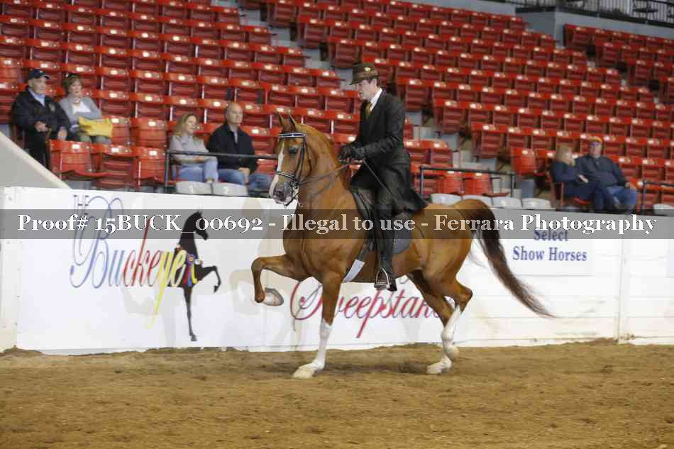 Proof 15BUCK_00692