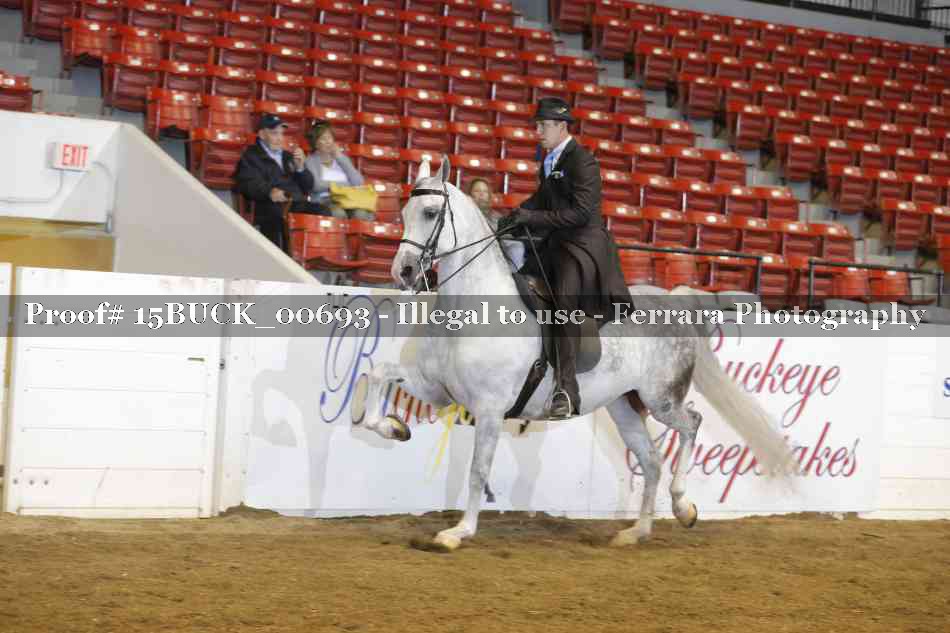 Proof 15BUCK_00693