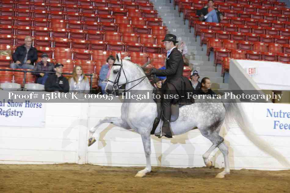 Proof 15BUCK_00695