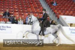 15BUCK_00695 proof