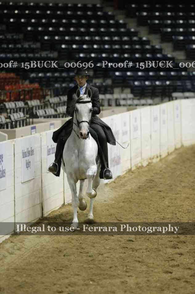 Proof 15BUCK_00696