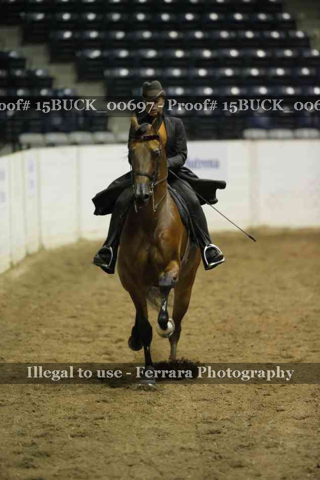 Proof 15BUCK_00697